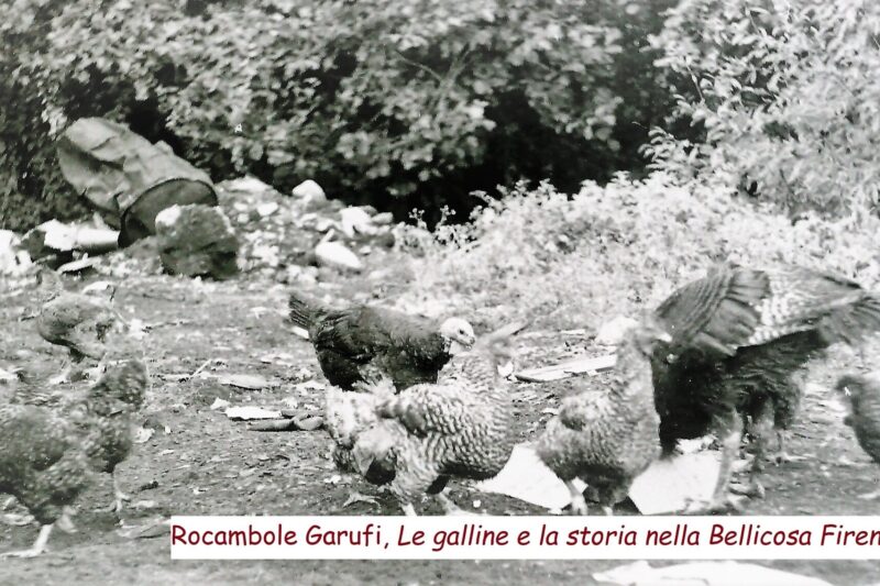 Garufi, Rocambole, “Le galline e la storia nella Bellicosa Firenze degli Iblei”, fotografia, 1980